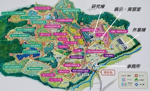 私市植物園/園内施設