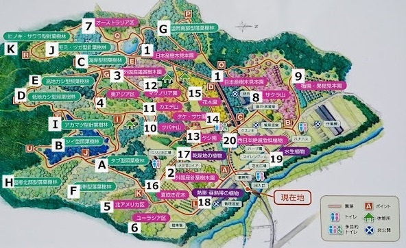 私市植物園の園内マップ