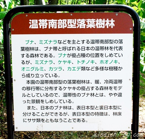 温帯南部型落葉樹林の看板