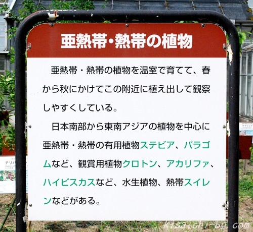 熱帯・亜熱帯の植物の看板